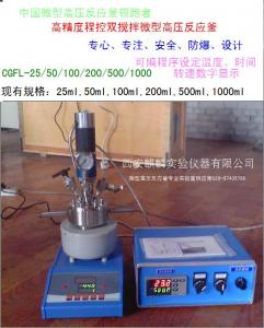 50ml微型高压反应釜