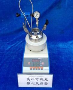 不銹鋼高壓反應釜10ml